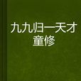 九九归一天才童修 九九归一天才童修
