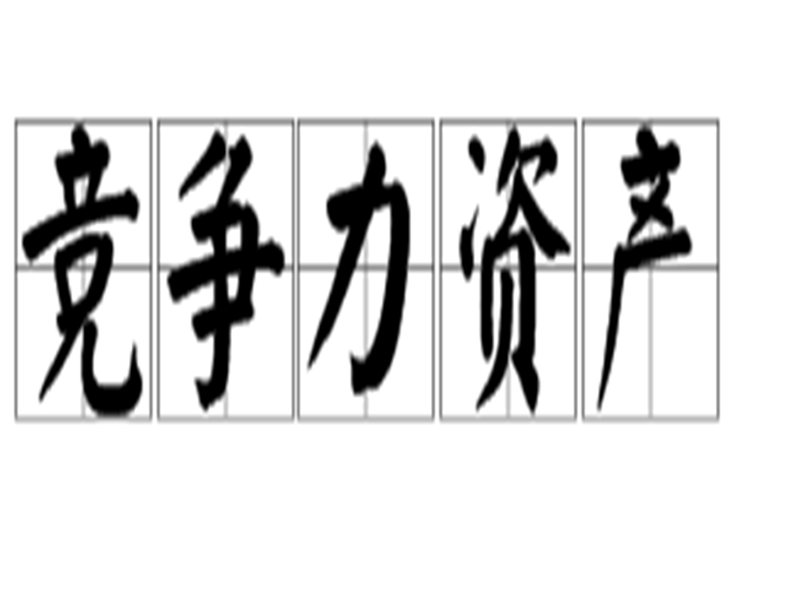 竞争力资产