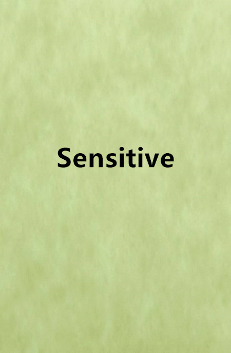 Sensitive(萌音小夜创作的网路小说)