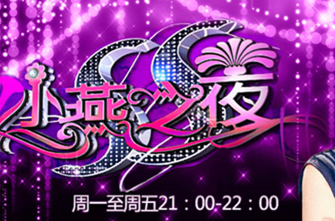 ss小燕之夜