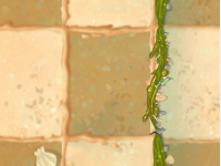 PVZ2