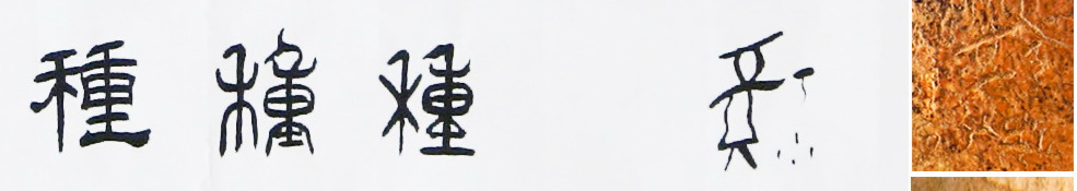 种(汉语汉字) 种(汉语汉字)