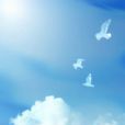 空气(地球周围气体) 空气(地球周围气体)