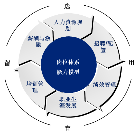 人力资源4P模型 人力资源4P模型