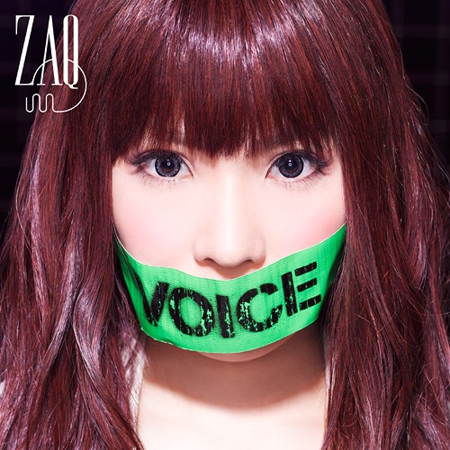 voice voice