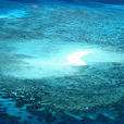 Tide(英语单词)