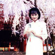 京华烟云(1987年赵雅芝主演电视连续剧)