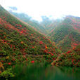 五龙河旅游风景区(五龙河旅游风景区) 五龙河旅游风景区(五龙河旅游风景区)