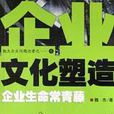 企业文化塑造:企业生命常青藤 企业文化塑造:企业生命常青藤