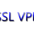SSL VPN SSL VPN