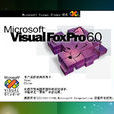 Visual FoxPro 6.0
