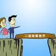 二孩政策 二孩政策