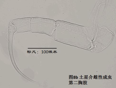 图8b 图8b