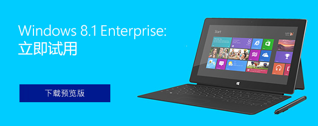 Windows 8.1 企业版 Windows 8.1 企业版