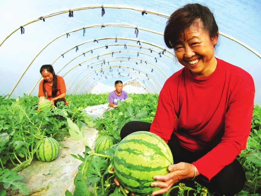 仙桥乡 仙桥乡