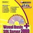 Visual Basic+SQL Server 2000系统开发实录 Visual Basic+SQL Server 2000系统开发实录