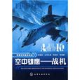 空中雄鹰:战机 空中雄鹰:战机