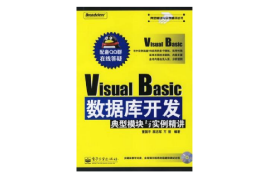 Visual Basic资料库开发典型模组与实例精讲