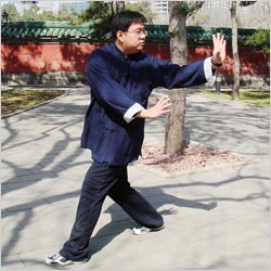 程派八卦掌 程派八卦掌