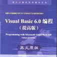 Visual Basic 6.0编程提高版英文原版