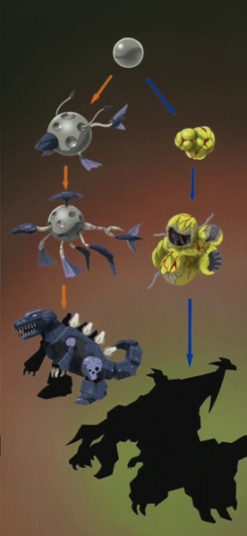 从Zoid核心到Zoid