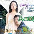 人间昆虫记(2011年日本电视剧)