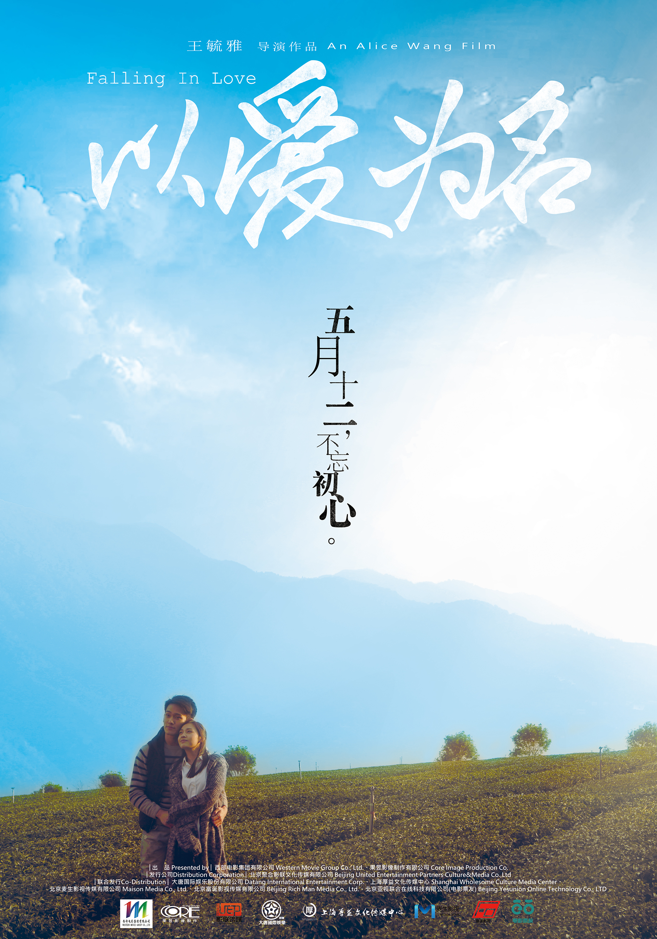 以爱为名(2017年王毓雅执导范逸臣主演的电影)