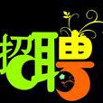 SNS招聘 SNS招聘