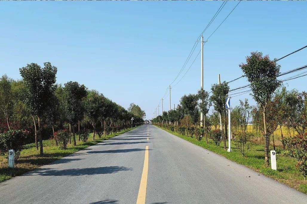 伊宁县农村公路 伊宁县农村公路