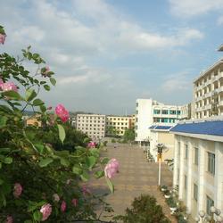 九堡镇(瑞金市下辖镇) 九堡镇(瑞金市下辖镇)