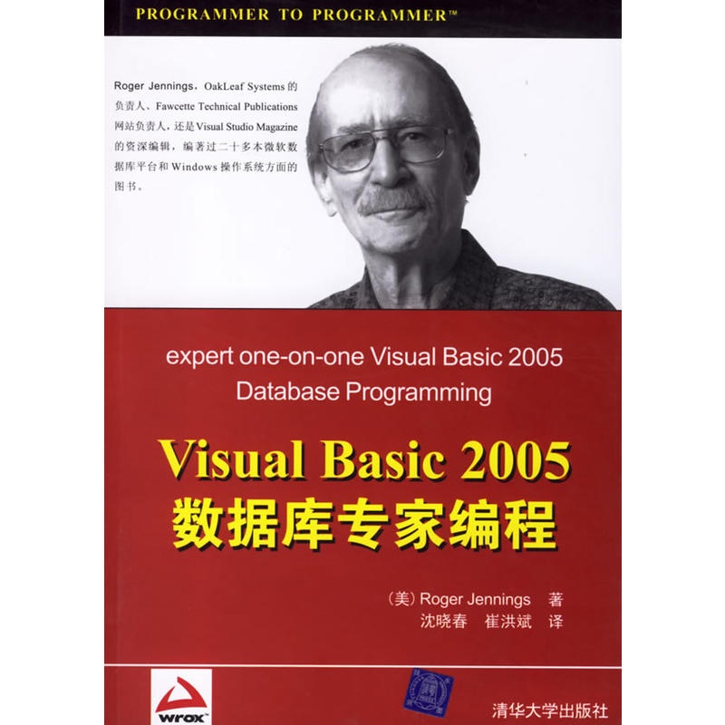 Visual Basic 2005资料库专家编程