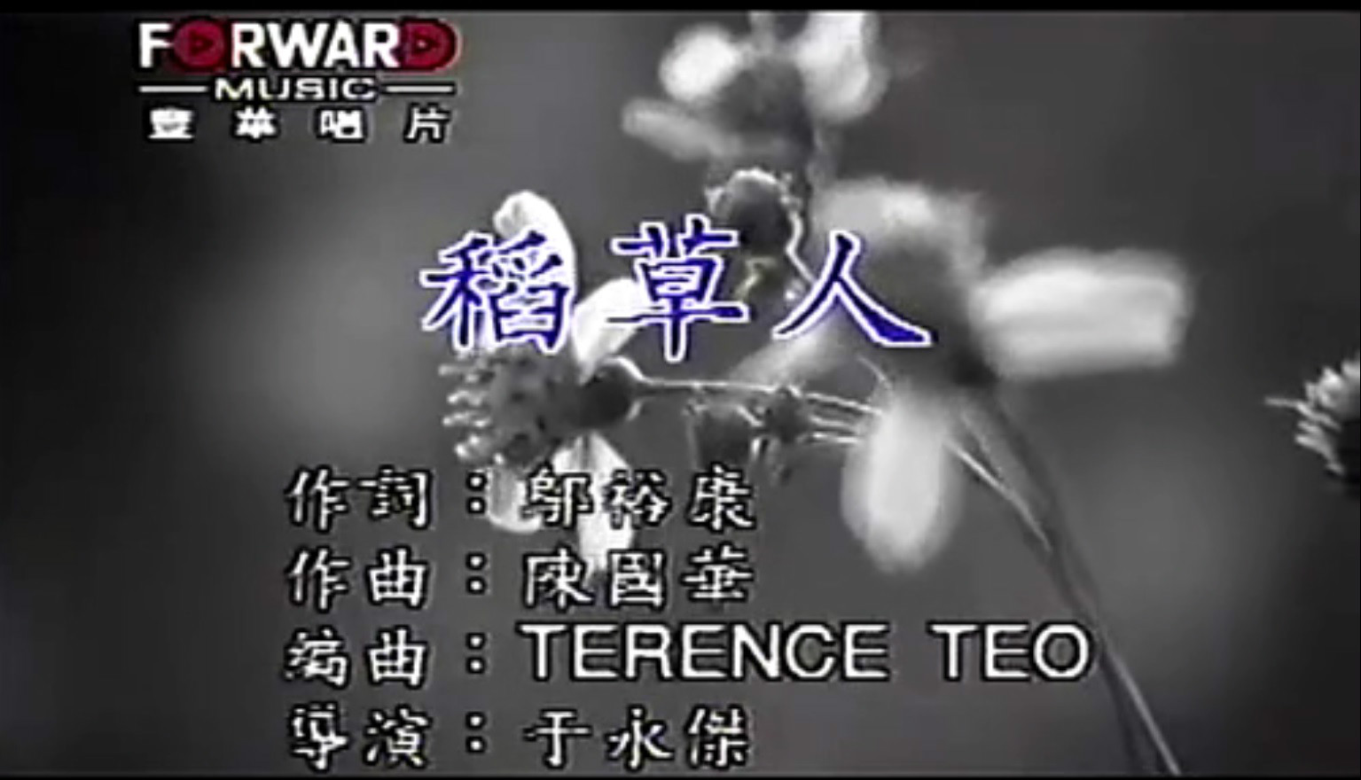 稻草人(林志颖演唱歌曲) 稻草人(林志颖演唱歌曲)