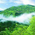 秦岭国家植物园 秦岭国家植物园