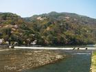 京都岚山 京都岚山