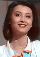 人在旅途(新加坡1985年吴岱融主演电视剧)