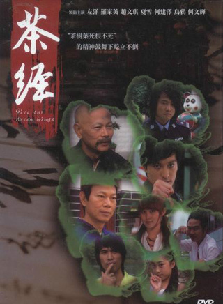 何文辉(中国内地影视演员)