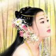 秦时明月之白羽蓝翎 秦时明月之白羽蓝翎