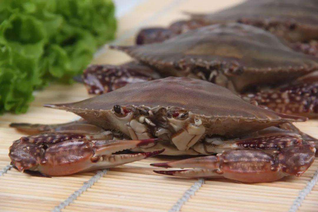 如东县
