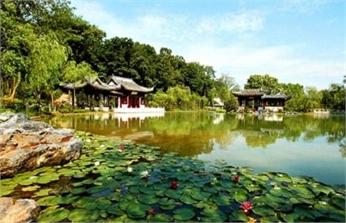 茂叔莲池 茂叔莲池