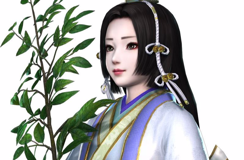辉夜姬(《无双大蛇2》新人物) 辉夜姬(《无双大蛇2》新人物)