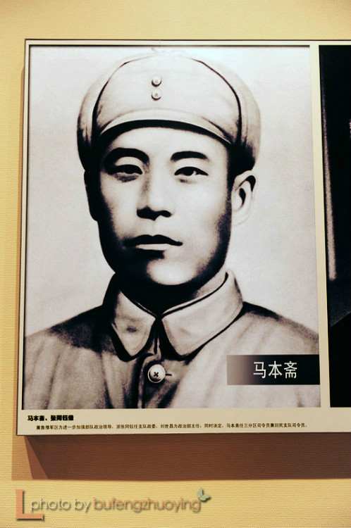 白文冠 白文冠
