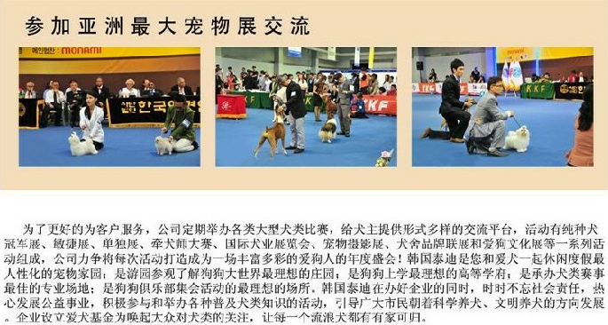 北京国际联邦犬舍 北京国际联邦犬舍