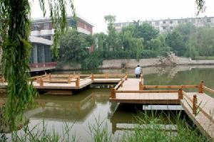 西沽公园 西沽公园