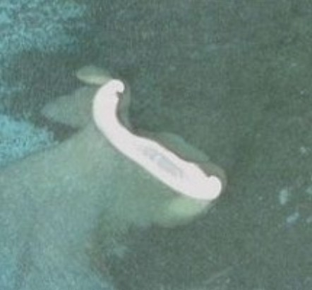 七连屿西新沙洲