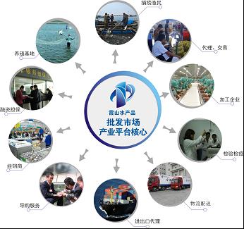 产业集群 产业集群
