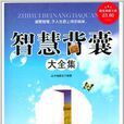超值典藏书系:智慧背囊大全集 超值典藏书系:智慧背囊大全集