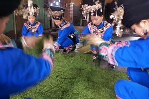 选茶 选茶