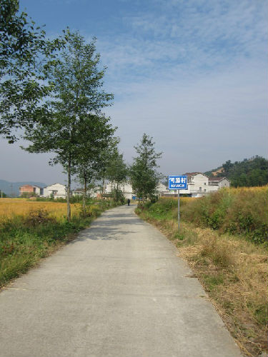 对桥乡 对桥乡