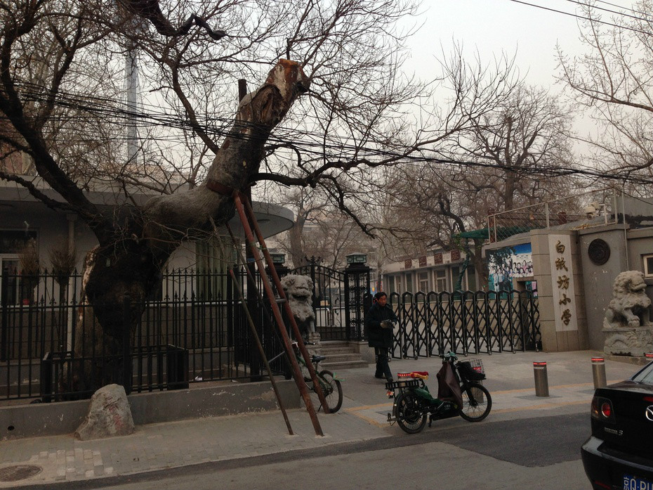 白纸坊胡同 白纸坊胡同