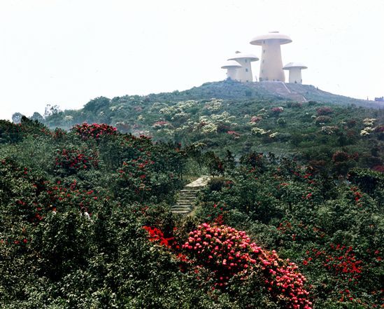 菌子山风景区